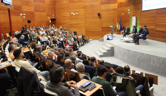 Sevilla analiza su futuro energético en la I Jornada de la Energía