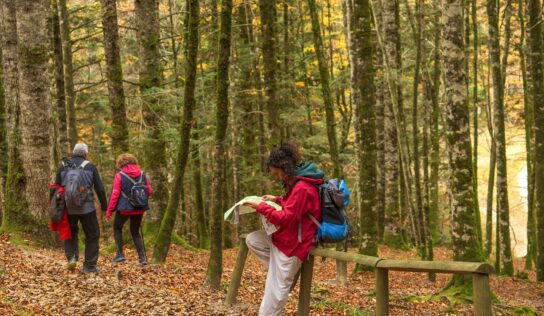 Navarra apuesta por el turismo regenerativo, una iniciativa pionera en España