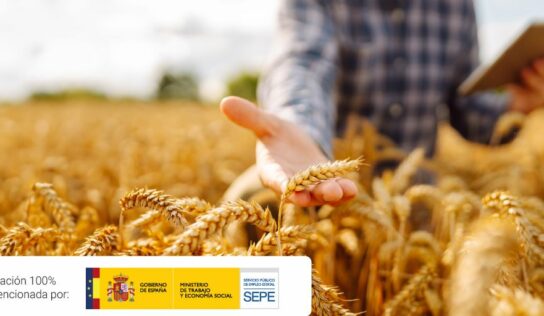 Top 3 competencias clave que adquirir en 2026 para el sector agrario