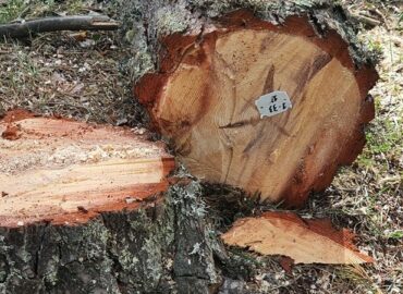 COPADE refuerza su liderazgo como motor del Comercio Justo en España con una nueva apuesta por la comercialización de productos de impacto