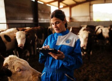 Provacuno lanzará una app para medir la huella de carbono del vacuno de carne en España, durante el segundo año de la campaña ‘Por una Europa sostenible, la misión especial del vacuno’