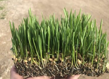 BioPalacín Planet alerta sobre la importancia del relevo generacional en el campo