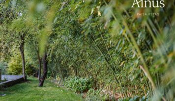 Alnus Paisajistas consolida su trayectoria como estudio de paisajismo sostenible en Madrid