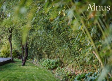 Alnus Paisajistas consolida su trayectoria como estudio de paisajismo sostenible en Madrid