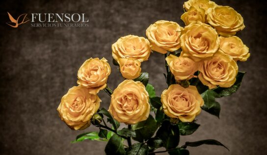 Fuensol conmemora dos décadas de trayectoria en el sector funerario con el lanzamiento de nuevos planes de planificación anticipada y renovación digital