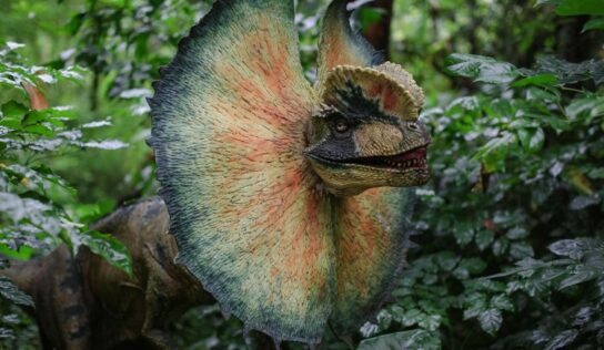 Los dinosaurios cobran vida en San Martín de Valdeiglesias (Madrid): Dinolandia abrirá el 2 de abril