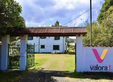 Albert Ollé y Casa Alegría: proteger la infancia cuando el entorno falla