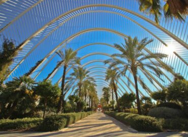 Valencia lidera el ranking de las ciudades más saludables de España, según un estudio de Altezza Travel