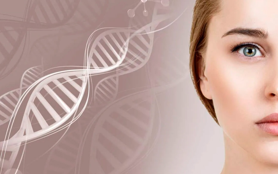 Exosomas: la nueva frontera de la medicina regenerativa para una piel sin edad Exosomas: la nueva frontera de la medicina regenerativa para una piel sin edad