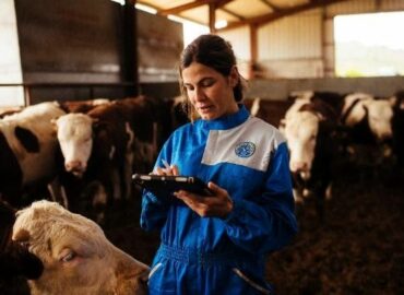 Provacuno lanza una aplicación web para medir la huella de carbono del vacuno de carne en España