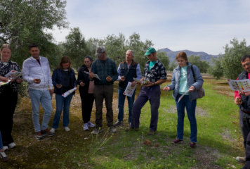 La Fundación PepsiCo lanza la segunda edición de VivaOliva para contribuir a la transformación del olivar de Jaén con agricultura regenerativa