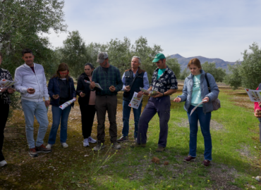 La Fundación PepsiCo lanza la segunda edición de VivaOliva para contribuir a la transformación del olivar de Jaén con agricultura regenerativa