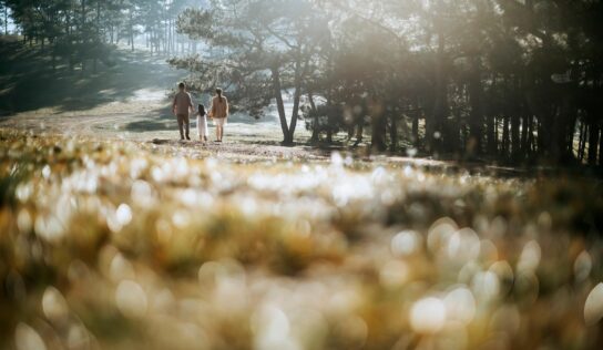 Centro Alcume incorpora la intervención con familias en el trabajo con niños y jóvenes