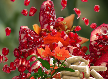 Sugieren que extracto de granada y probióticos alivian Intestino Irritable según Univ. de Extremadura y SES