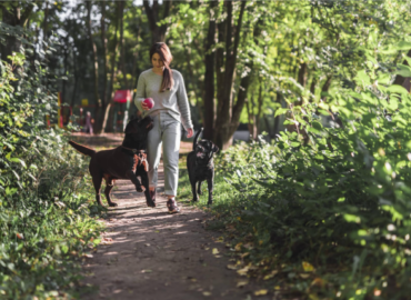 TodoMascota analiza cómo la llegada del buen tiempo transforma las rutinas y cuidados del perro