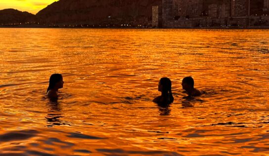 Delfinautica impulsa en Alicante una escuela náutica de formación real, seguridad y experiencias en el mar