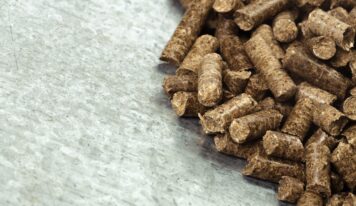 Bifeedoo destaca la importancia del pienso ecológico para optimizar la alimentación animal durante el verano