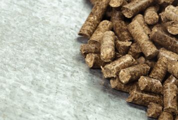 Bifeedoo destaca la importancia del pienso ecológico para optimizar la alimentación animal durante el verano