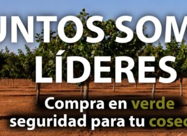 SABA Pistachios duplica su capacidad de procesado para la compra de pistacho en verde en España