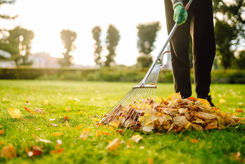 Cómo cuidar un jardín durante todo el año con un buen mantenimiento Cómo cuidar un jardín durante todo el año con un buen mantenimiento
