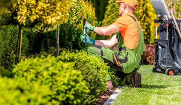 Mantenimiento de jardines: servicios integrales para particulares, empresas y comunidades