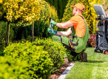 Mantenimiento de jardines: servicios integrales para particulares, empresas y comunidades