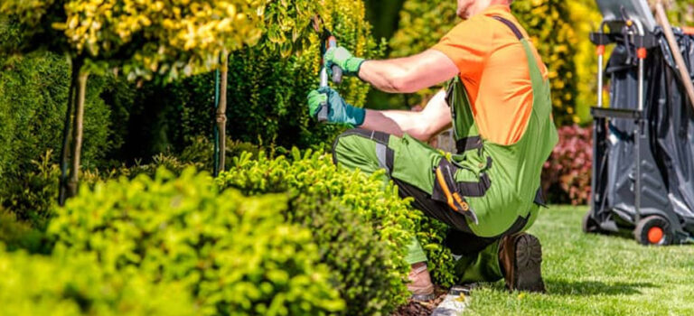 Mantenimiento de jardines: servicios integrales para particulares, empresas y comunidades