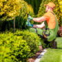 Mantenimiento de jardines: servicios integrales para particulares, empresas y comunidades
