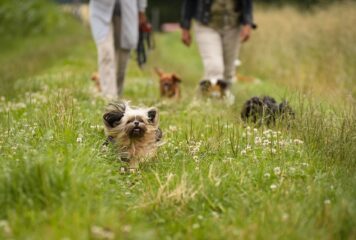 CentroFauna amplía las opciones de compra online de productos para diferentes animales de compañía